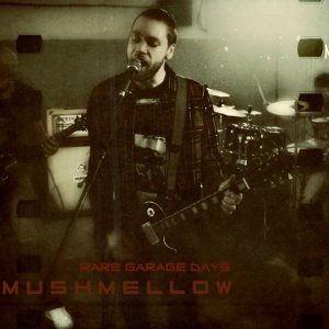 Обложка: Mushmellow - Stupid Bitch