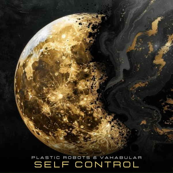 Обложка: Vakabular, Plastic Robots - Self Control