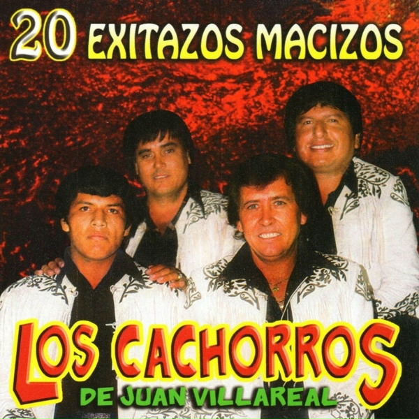 Обложка: Los Cachorros de Juan Villareal - Tu Delirio