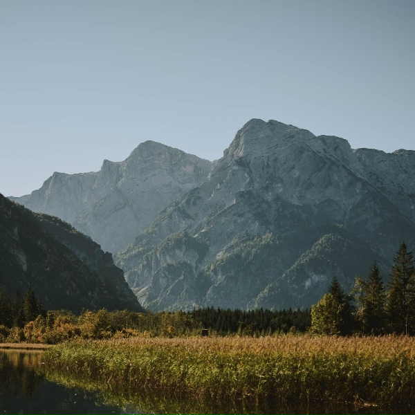 Обложка: Deep Sleep Music Experience, Mindfulness Mediation World, Relaxed Minds - Radiant Aura