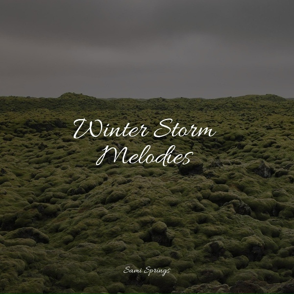 Обложка: Sleep Songs with Nature Sounds, Raindrops Sleep, Deep Sleep - Playful Stream