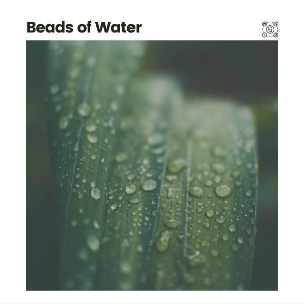 Обложка: Rain Sounds - New York Rain