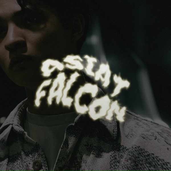 Обложка: Asiat - Falcon