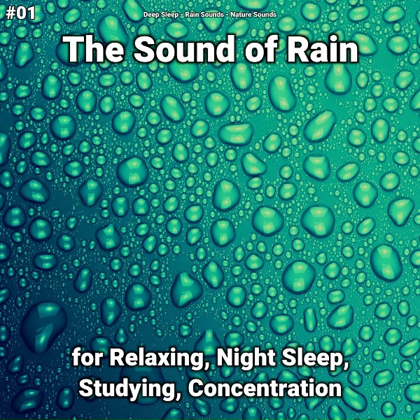 Обложка: Deep Sleep, Rain Sounds, Nature Sounds - Sleep Meditation