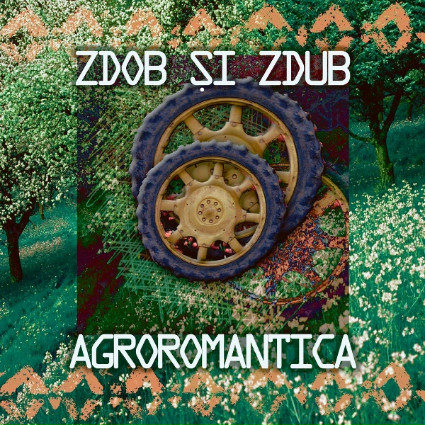 Обложка: Zdob și Zdub feat. Трио Эрденко - Видели ночь
