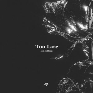 Обложка: James Deep - Too Late