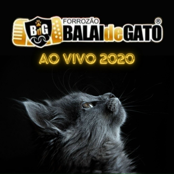 Обложка: Forrozão Balai de Gato - Linda de Mais