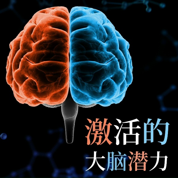 Обложка: 唤醒大脑 - 智商提高