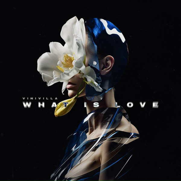 Обложка: VINIVILLA - WHAT IS LOVE