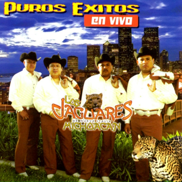 Обложка: Los Jaguares de Michoacan - El Sube y Baja