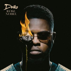 Обложка: Driks - Fais-le