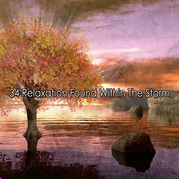 Обложка: Relaxing Rain Sounds - Saved By The Rain