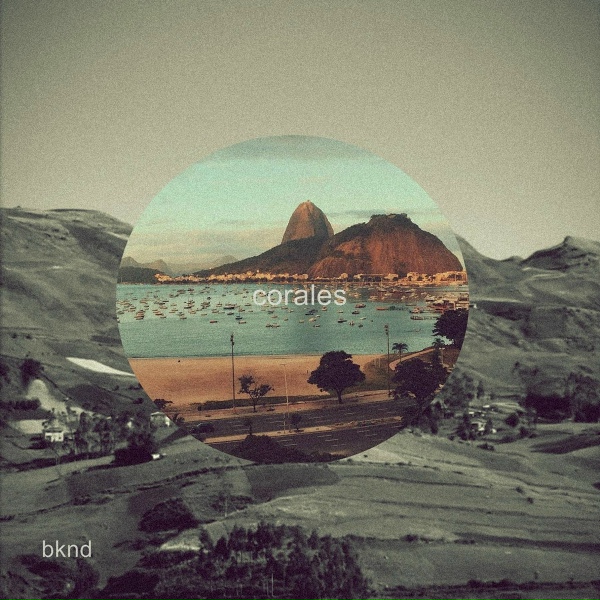 Фото: Bknd