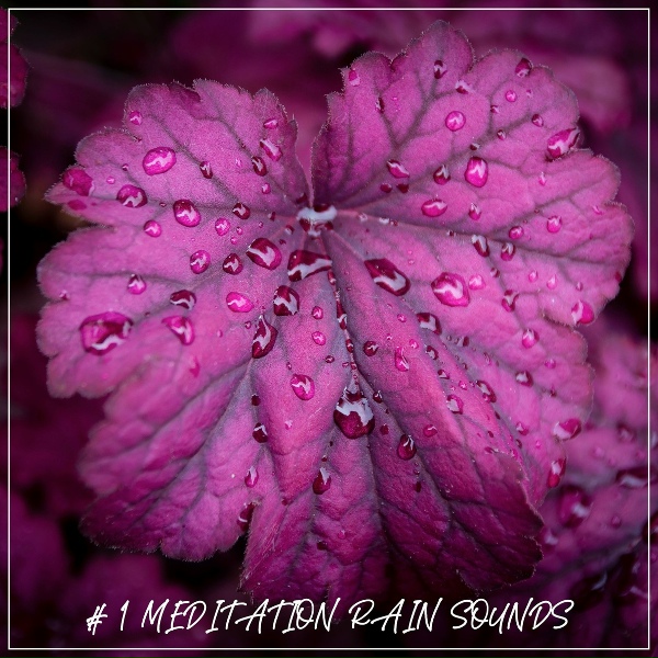 Обложка: Rain for Deep Sleep, Meditation Rain Sounds, Rain Sounds - Autumn Rain