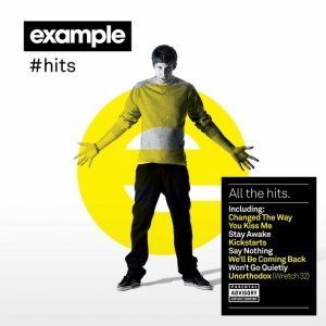 Обложка: Laidback Luke, Example - Natural Disaster