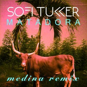 Обложка: Sofi Tukker - Matadora