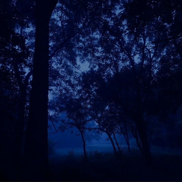 Обложка: my head is empty, Miranda Rain - make me feel