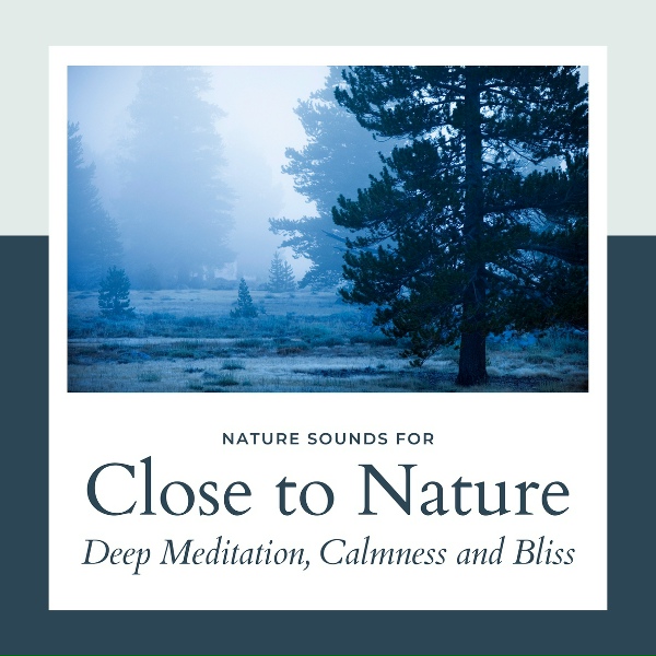 Обложка: Cosmic Meditation and Soul Awakening Project - New Day
