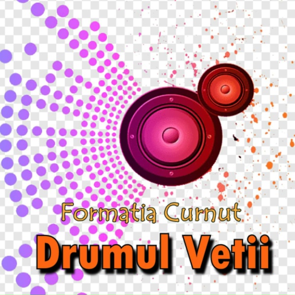Обложка: Formația Curnut feat. Баланенко Виталий - Drumul Vetii