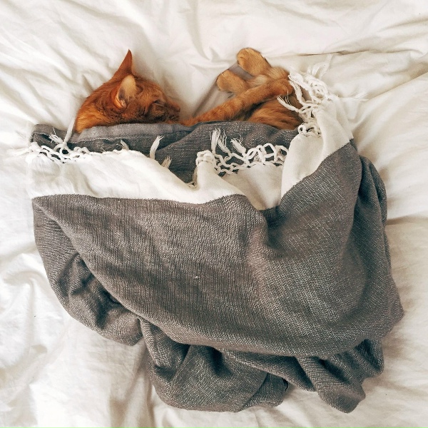 Обложка: Deep Sleep, Spa, Study Music Library - Music for Deep Sleep