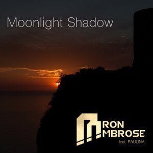 Обложка: Aaron Ambrose feat. Paulina feat. Paulina - Moonlight Shadow