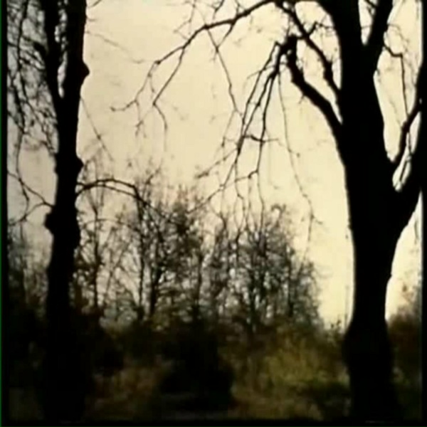 Обложка: DJ DR4GM4SHROOM - BLACK BEATLES JUMPSTYLE