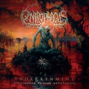 Обложка: Onirophagus - Dysthanasia