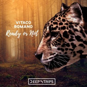Обложка: Vitaco, Romano - Ready Or Not