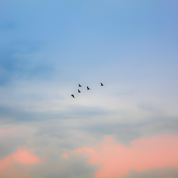 Обложка: Danny Farro, Kancrie - Freeway