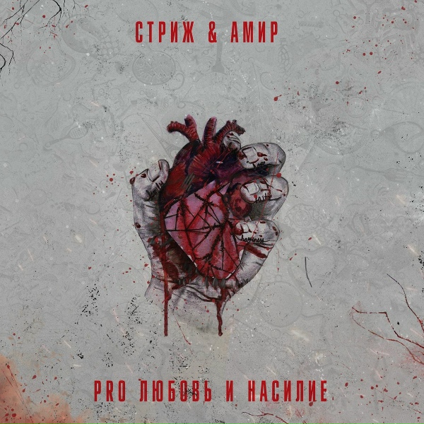 Обложка: Стриж, Амир - Не больно