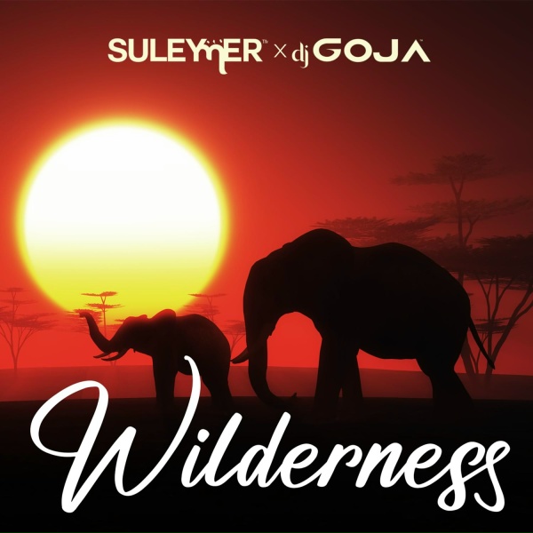 Обложка: Suleymer, DJ Goja - Wilderness