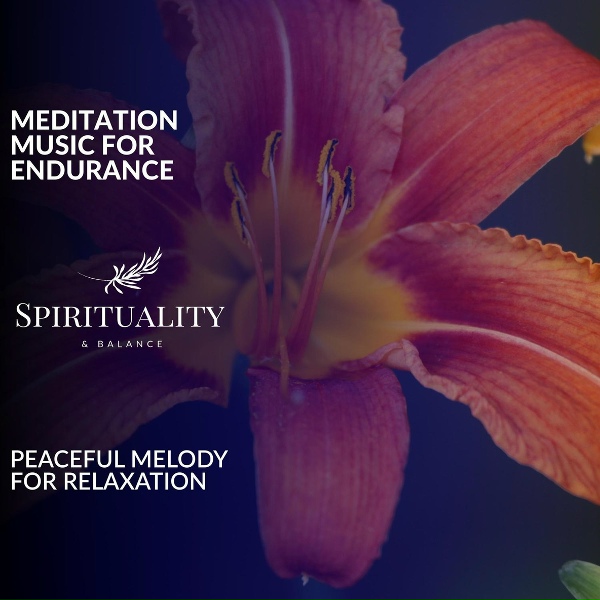 Обложка: Dr. Yoga - Rejuvenation Rhythms