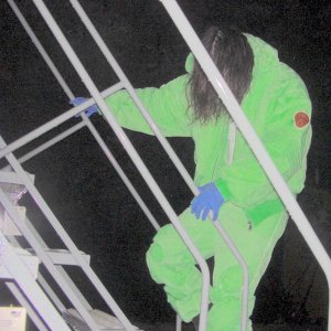Обложка: BONES - Benoit