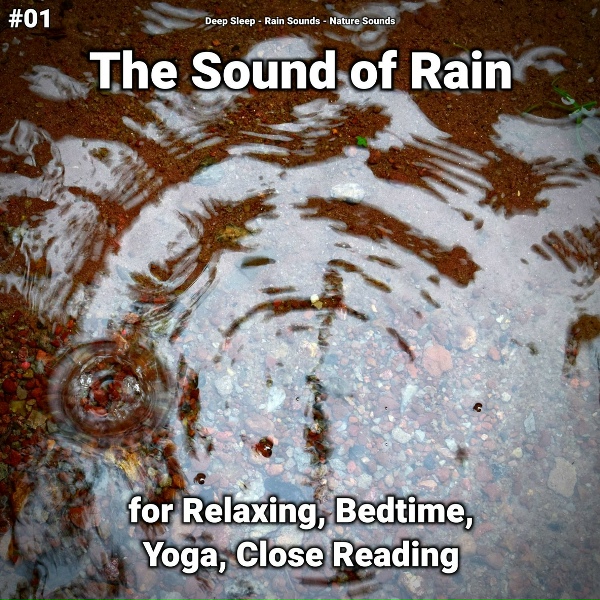 Обложка: Deep Sleep, Rain Sounds, Nature Sounds - Nature Sounds