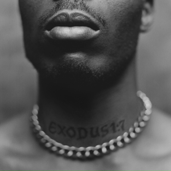 Обложка: DMX feat. Lil Wayne, Swizz Beatz - Dogs Out