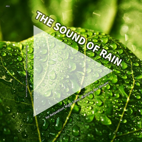 Обложка: Rain Sounds by Elli Sabbatini, Rain Sounds, Deep Sleep - Rain Sounds