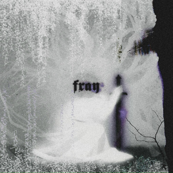 Обложка: VSN7 - Fray