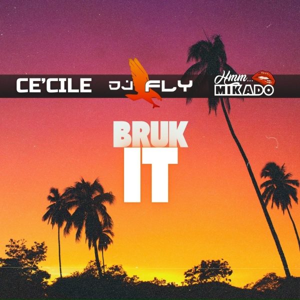 Обложка: Ce'cile, DJ Fly, Mikado - Bruk It