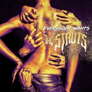 Обложка: The Struts - Black Swan