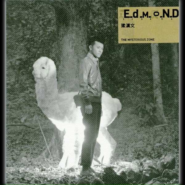 Обложка: Edmond Leung - Never