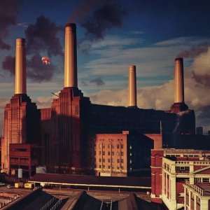 Обложка: Pink Floyd - Dogs