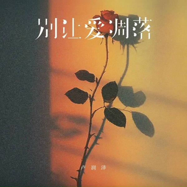 Обложка: 卢润泽 - 别让爱凋落 (Djlhn版)