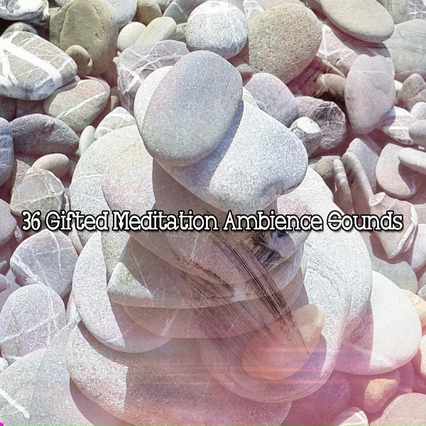 Обложка: White Noise Meditation - Peace And Nourishment