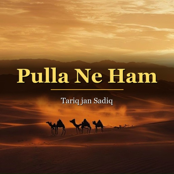 Обложка: Tariq jan Sadiq - Tho Ara Tak
