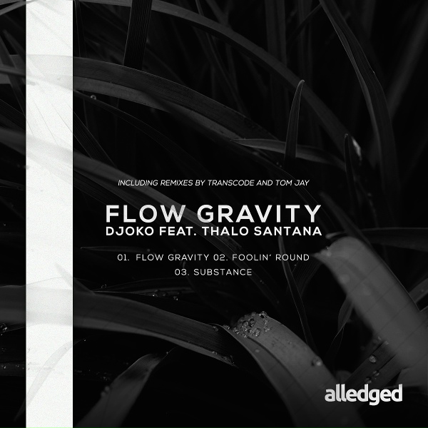 Обложка: DJOKO feat. Thalo Santana - Flow Gravity