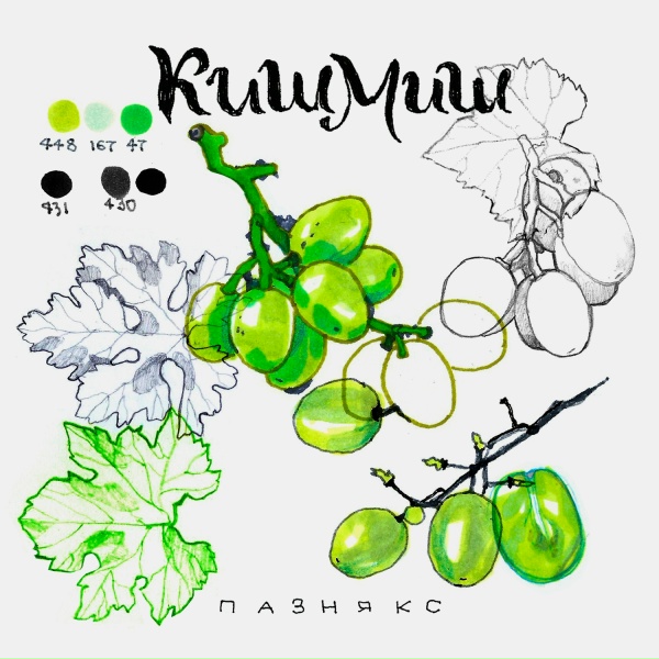 Обложка: пазнякс - кишмиш