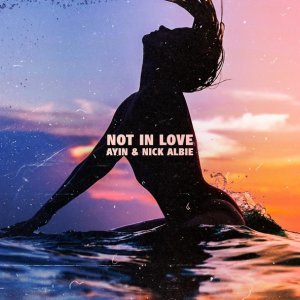 Обложка: Ayin, Nick Albie - Not In Love