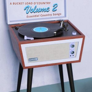 Обложка: The Wilburn Brothers - Troubles Back in Town