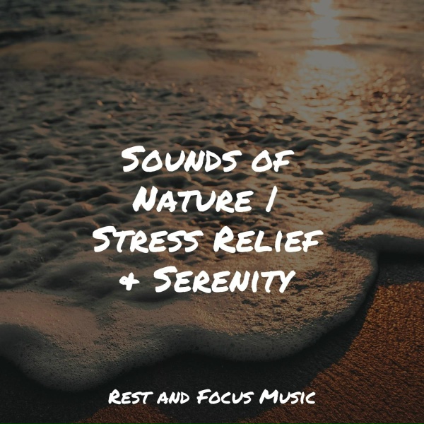 Обложка: Preschool Kids, Spa, Music for Absolute Sleep - Siesta