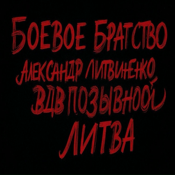 Обложка: Александр Литвиненко - Третий взвод. 234